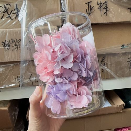 亚特兰蒂斯木绣球20g永生花花艺材料填充真花干花渐变保鲜花中华