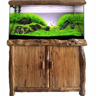 实木原木生态水陆雨林草缸龙珊瑚缸海水鱼缸底柜底架水族箱定制做