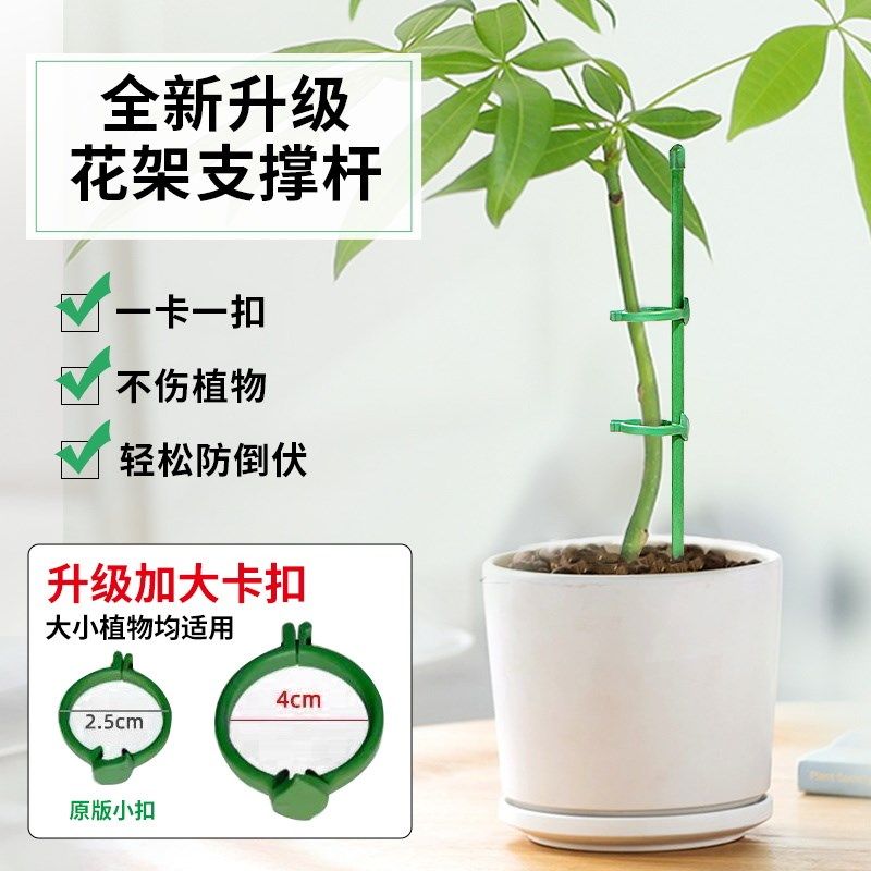 西红柿番茄专用支撑杆园艺花架爬藤支撑杆放倒伏支架防倒固定支架,鲜花速递/花卉仿真/绿植园艺,其它园艺用品,淘宝优惠券,粉丝福利购,淘宝优惠卷