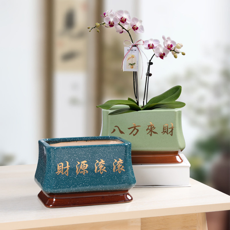 中式长方形盆景陶瓷大号花盆客厅金弹子罗汉松小叶紫檀盆景绿植盆,鲜花速递/花卉仿真/绿植园艺,花盆,淘宝优惠券,粉丝福利购,淘宝优惠卷