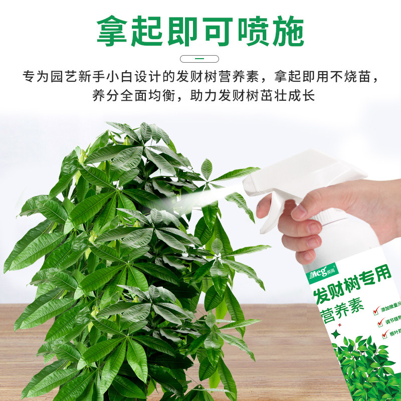 发财树专用营养液肥花卉水培植物绿萝富贵文竹室内盆栽肥料活力素,鲜花速递/花卉仿真/绿植园艺,家庭园艺肥料,淘宝优惠券,粉丝福利购,淘宝优惠卷