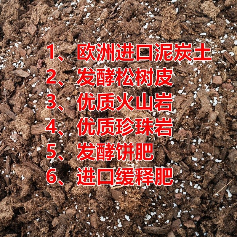 南天竹专用土种植土盆栽土种南天竹盆景土疏松透气营养土肥料包邮,鲜花速递/花卉仿真/绿植园艺,介质/营养土,淘宝优惠券,粉丝福利购,淘宝优惠卷
