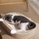 猫抓板窝一体剑麻绳耐磨不掉屑垫盆耐抓磨爪大号椭圆全幼猫床藤编