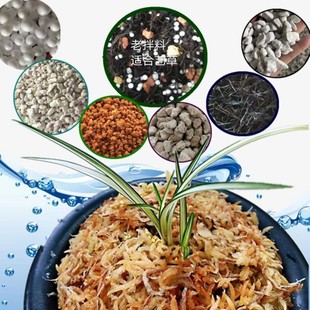 肖氏诱生兰花植料松筋栗树叶配方透气沥水好腐熟肥足营养土包邮