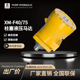 吊車用液壓馬達XM ZM40徐工軸向柱塞泵XM F75F ZM75高壓油泵 F40L
