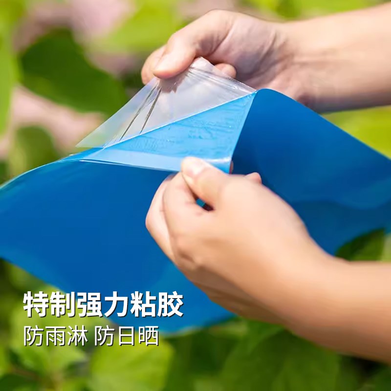 粘虫板黄板蓝板双面诱虫灭小黑飞虫果蝇蓟马蚜虫家用果园大棚专用