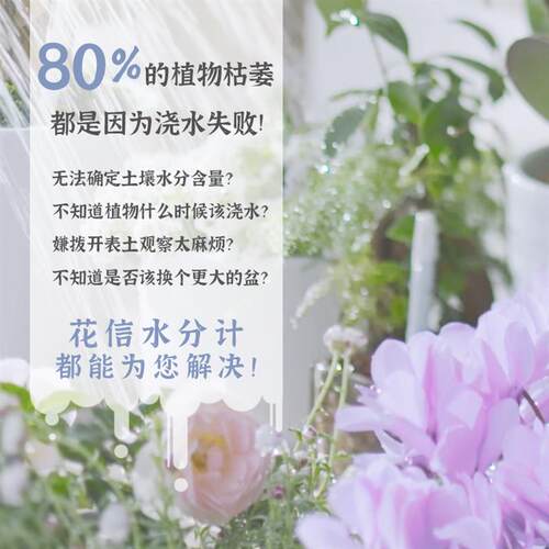 花信SUSTEE植物水分计 土壤湿度检测计 室内植物浇水神器