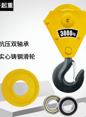 钢丝绳电动葫芦低净空吊钩2T3T5T超低举国标天车行车起重机龙门吊