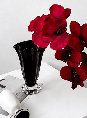 态生活法式轻奢风黑白玻璃花瓶家用客厅餐桌摆件高颜值水培插花瓶