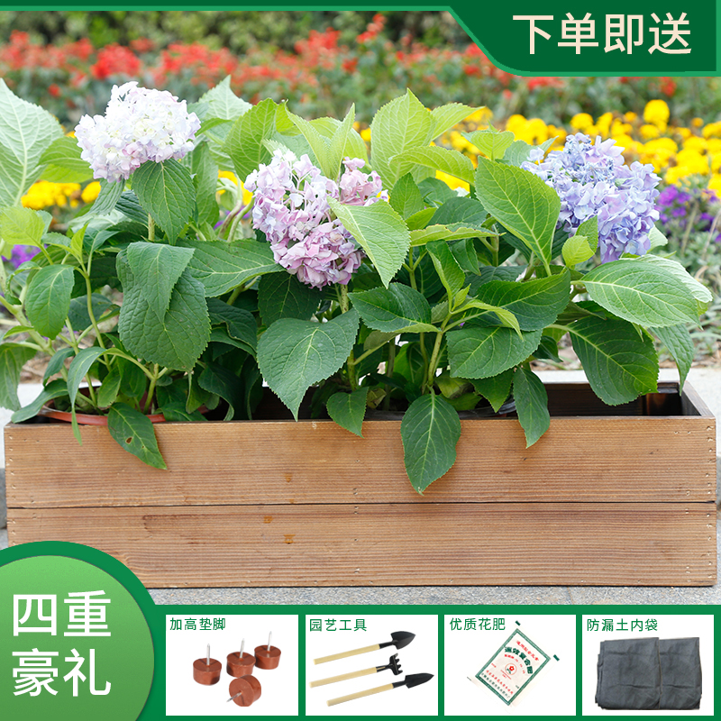 防腐木花箱长方形阳台种菜盆碳化木花盆实木栏杆花架多肉花槽