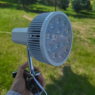 森巴夫精华乳养发蓝光灯照蓝光箱非新生婴幼儿黄疸替代晒太阳