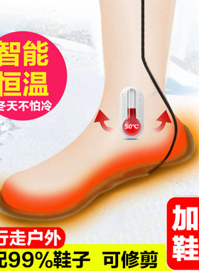 USB插电加热鞋垫 电暖鞋垫电热保暖鞋垫冬季脚底防寒男女通用鞋垫