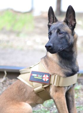 遛狗战术牵引绳胸背带中大型犬K9背心式牵引套装德牧金毛马犬套背