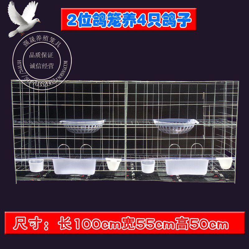 强晟鸽笼加粗2位鸽子笼肉鸽繁殖笼阳台信鸽笼种鸽笼养殖笼配对笼