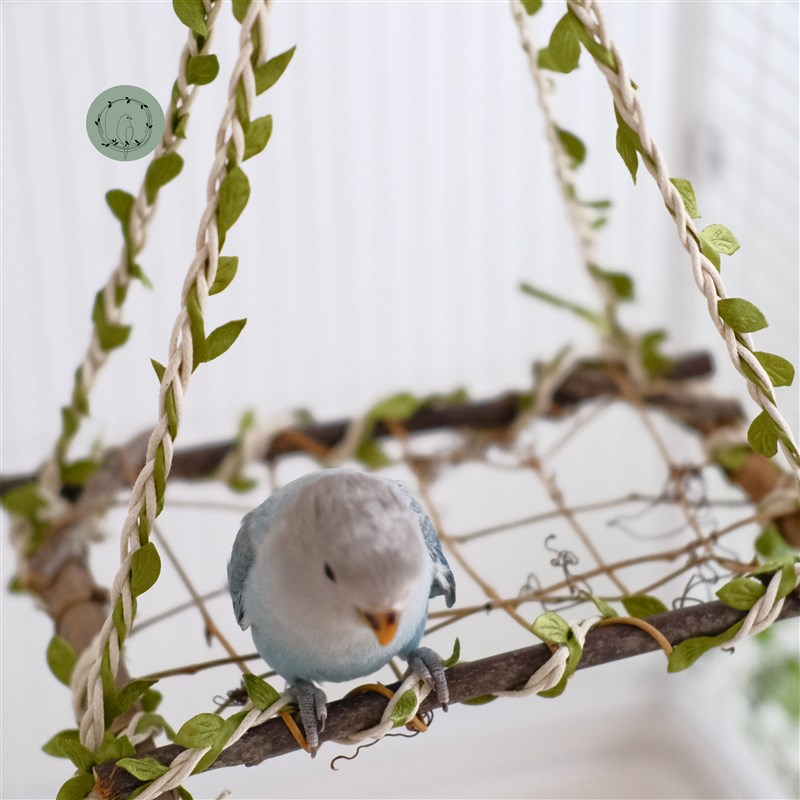 鹦鹉秋千鸟笼玩具珍珠文鸟麻雀攀爬互动梯子防咬磨爪实木啃咬吊环