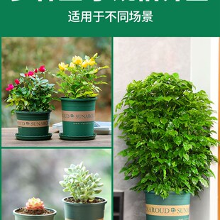 家用塑料透气透水花盆底部控根多肉君子兰蝴蝶兰专用多孔小花盆