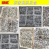 20张彩色加厚款 买2送1绿威粘蝇板高效安全引诱苍蝇胶贴纸灭捕蝇器
