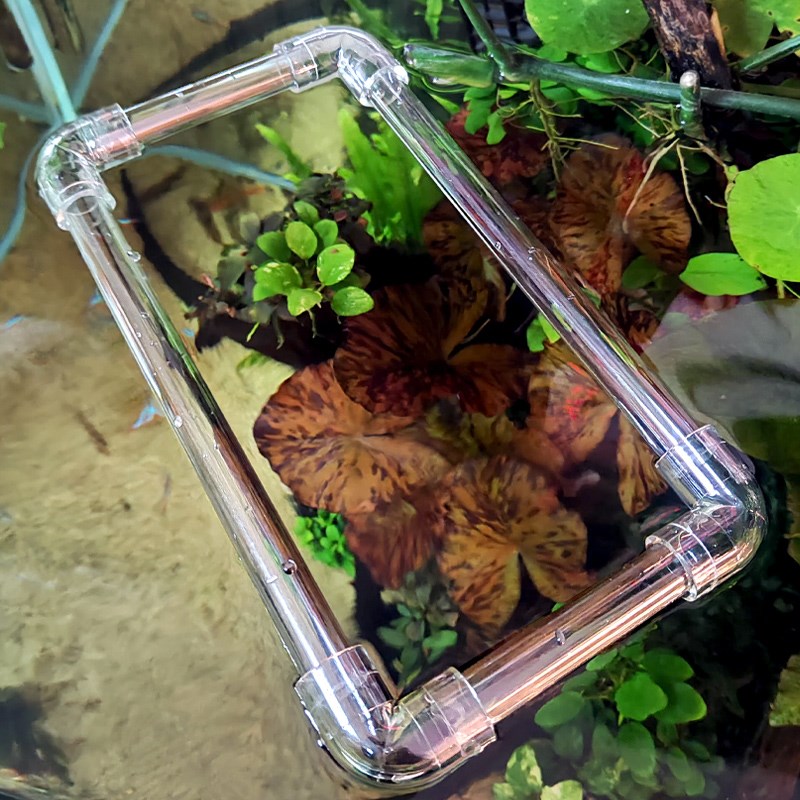 鱼缸悬浮喂食圈漂浮喂食器喂食管投食管乌龟缸浮萍阻拦鱼粮防飘散