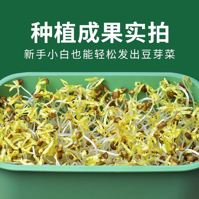 豆芽机水培育苗生黄绿豆芽发芽神器种花生桶盒家用发豆芽专用盆罐,鲜花速递/花卉仿真/绿植园艺,育苗盘/营养钵,淘宝优惠券,粉丝福利购,淘宝优惠卷