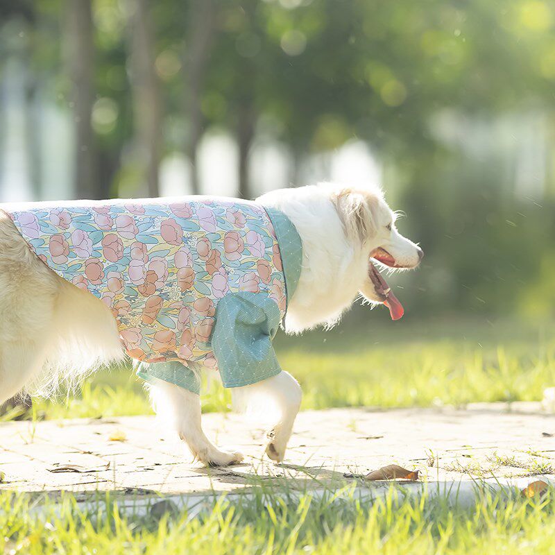 宠物大型犬边牧衬衫薄款裙子衣服生日礼物情侣装拍照可爱金毛萨摩