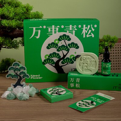 【万事青松】香薰扩香石礼盒生日礼物小众高级送领导同事晶石香氛