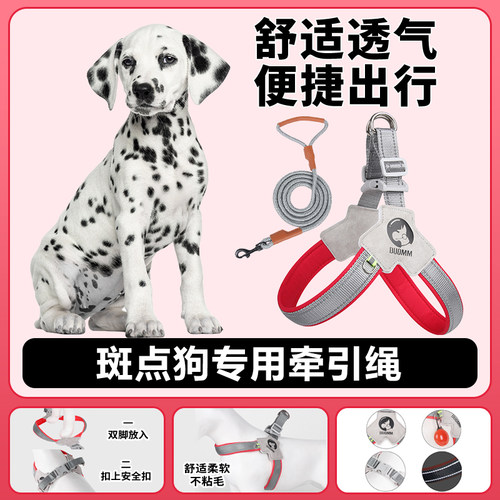 斑点狗专用狗狗胸背带牵引绳中小型犬脖圈背心式遛狗绳宠物项圈