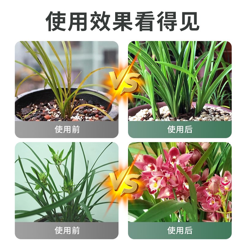 蝴蝶兰营养液兰花专用肥料治黄叶促开花多箭室内盆栽植物养花绿植