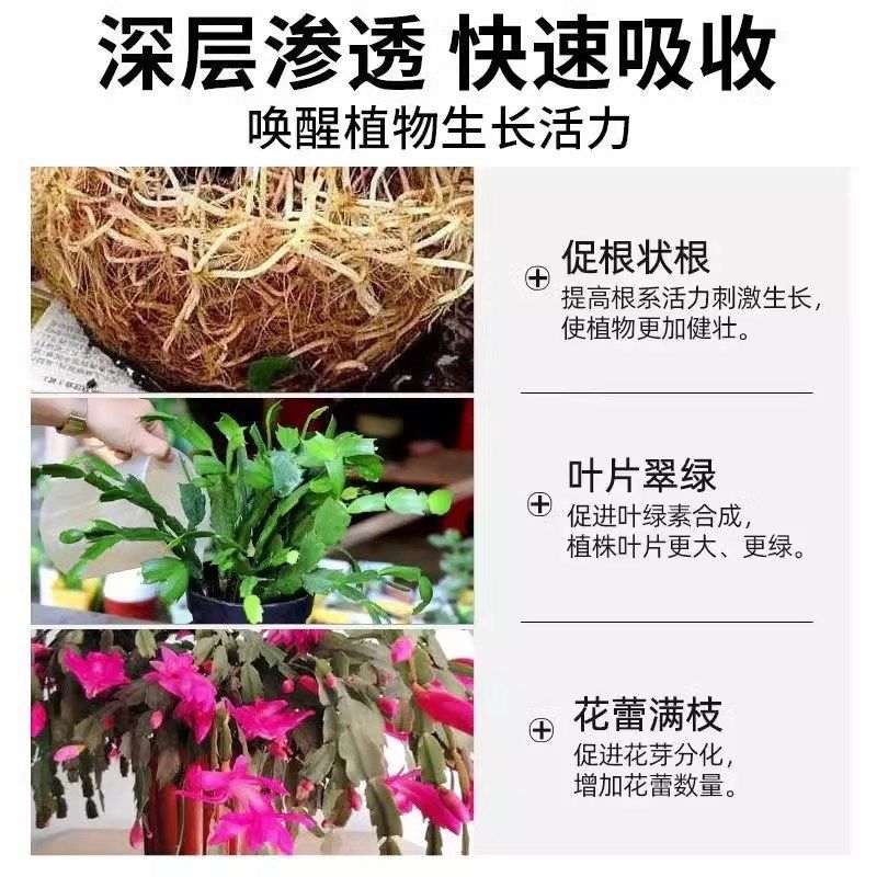 蟹爪兰专用肥料治黄叶干瘪烂灰霉腐杀菌剂一喷绿壮根促开花营养液,鲜花速递/花卉仿真/绿植园艺,家庭园艺肥料,淘宝优惠券,粉丝福利购,淘宝优惠卷