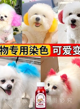 蒙倩狗狗专用染发膏宠物美发膏樱花粉红橙色泰迪狗博美犬染毛膏剂