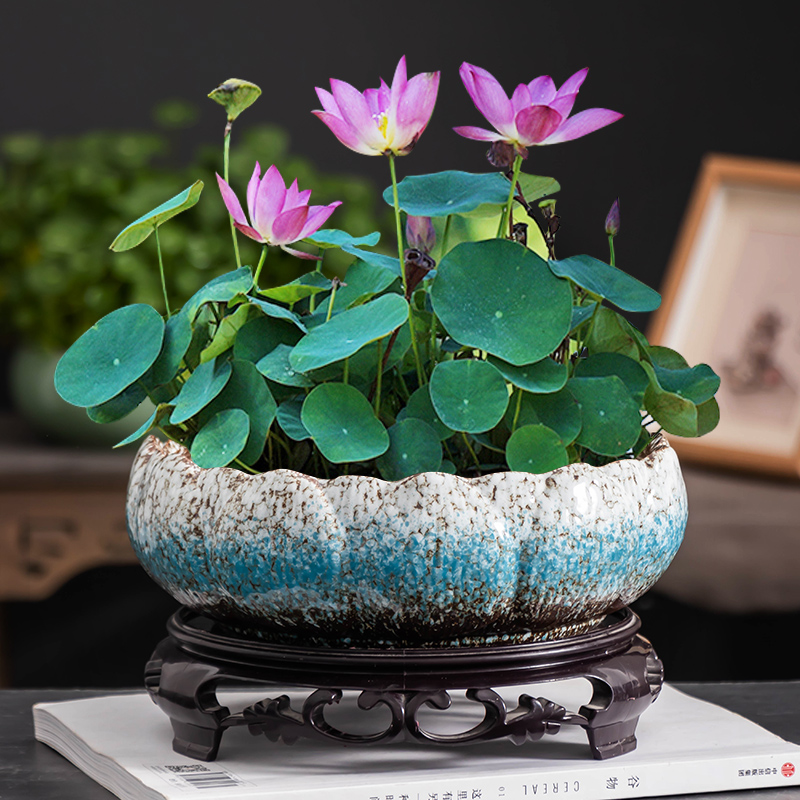 窑变碗莲花盆个性大口径水养专用绿植盆陶瓷家用桌面盆栽盆带托