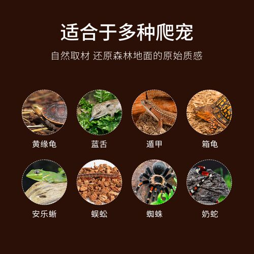 瑞皮Reptizoo森林地表爬虫爬宠垫材树皮守宫蛇陆乌龟鬃狮蜥蜴造景