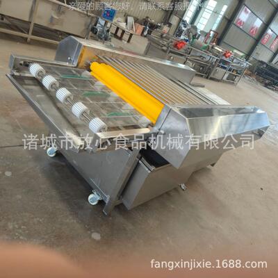 粽糯叶清洗机米粽子加工设备荷叶叶芦叶粽小型平HLE行苇毛辊清洗