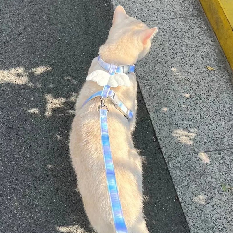 猫咪牵引绳外出专用可调节胸背遛猫绳子可爱翅膀小型犬宠物狗用品