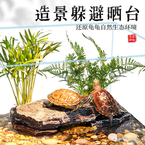 乌龟晒台爬台养龟造景躲避屋龟缸高水位爬宠浮岛深水龟爬梯晒背台