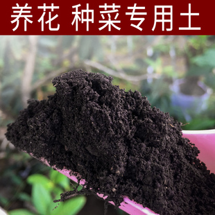 云南森林腐叶土养花种菜专用种植土壤通用型营养土腐熟松针腐殖土