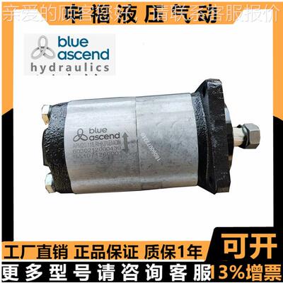 .土耳其齿轮泵AP.20160.CGL01SN AAP20.160P250.11CGL01SN油泵