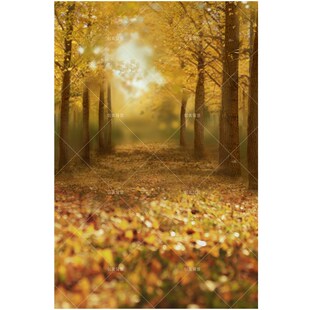 创美秋天室外油画风景拍照背景布影楼儿童摄影写真森林秋天背景纸