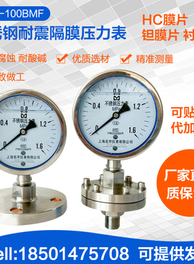 YTP-100ML MF不锈钢耐震隔膜压力表 法兰压力表 DN25 DN50 1.6mpa