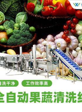 中央厨房蔬菜漂烫脱水生产线 水芹菜新鲜芹菜净菜清洗流水线