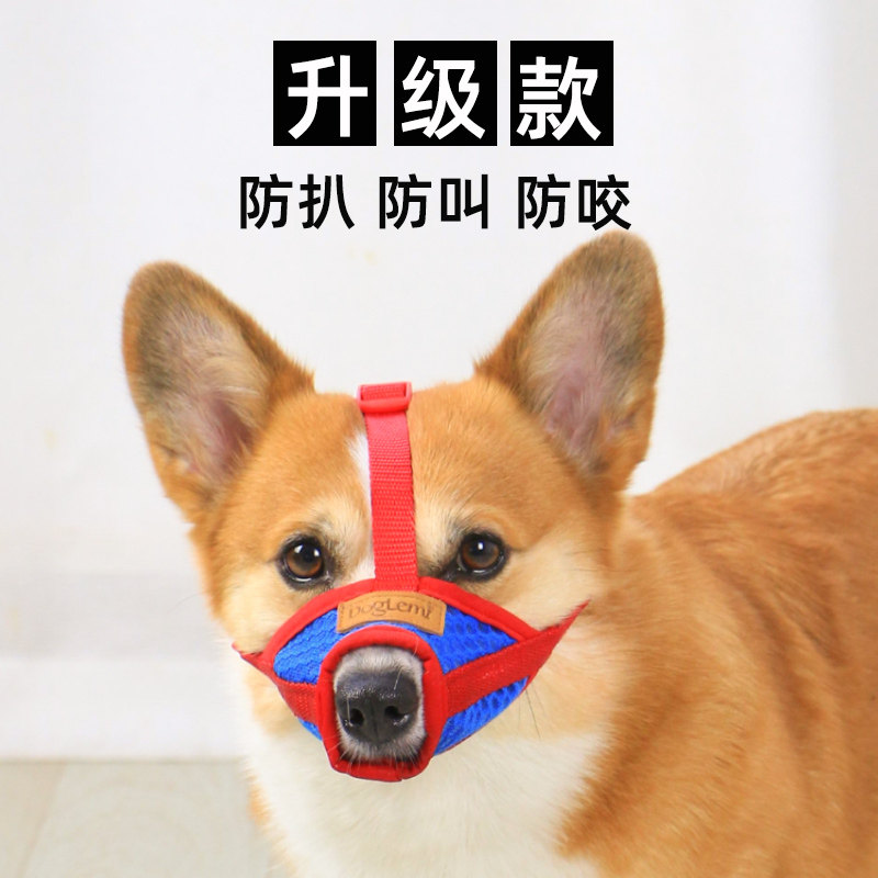宠物嘴套狗狗防叫防乱咬乱吃嘴罩口罩防扒柯基泰迪专用小型犬用品,宠物/宠物食品及用品,嘴套,淘宝优惠券,粉丝福利购,淘宝优惠卷