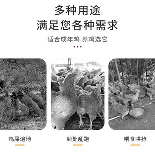 家养鸡笼子家用室内室外大号特大号下蛋养鸡窝鸡舍鸭笼折叠养殖笼