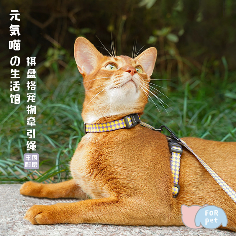 元気喵丨zeze宠物牵引绳子日系H型抱婴袋遛猫防挣脱小型犬外出用,宠物/宠物食品及用品,狗牵引绳,淘宝优惠券,粉丝福利购,淘宝优惠卷