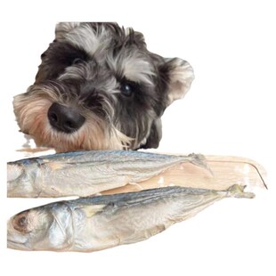 冻干青花鱼狗狗猫咪冻干鱼狗狗冻干零食 青花鱼猫咪鱼干青花鱼狗