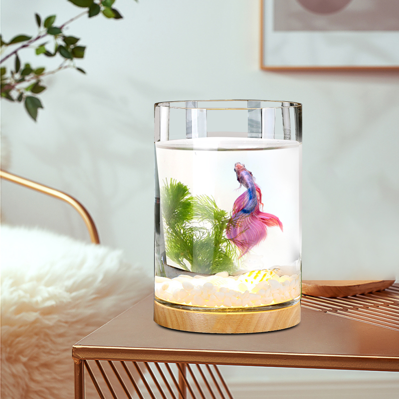 斗鱼缸迷你小型玻璃鱼缸造景桌面带灯圆柱缸办公室生态瓶微景观鱼