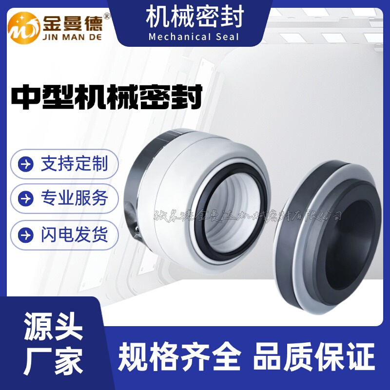 FSB氟塑料泵机械密封80FSB-55L机械密封 FSB125-100-250机械密封