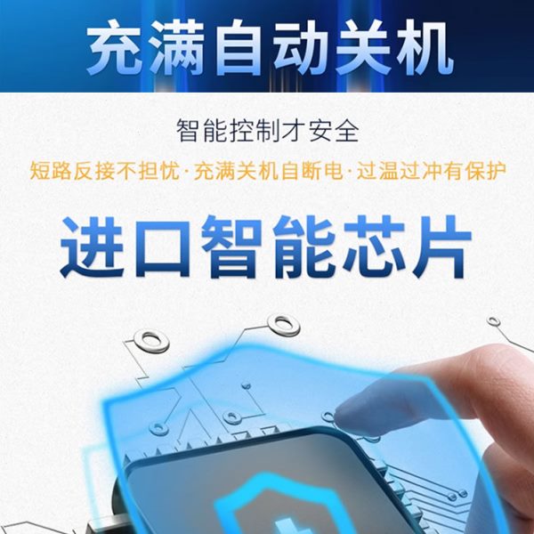 宝雅大轿雷时风御捷雷丁丽驰阳道爵四轮电电动汽车充电器军