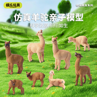 模乐玩具TOYMANY农场朋友系列仿真动物模型羊驼草泥马儿童玩具