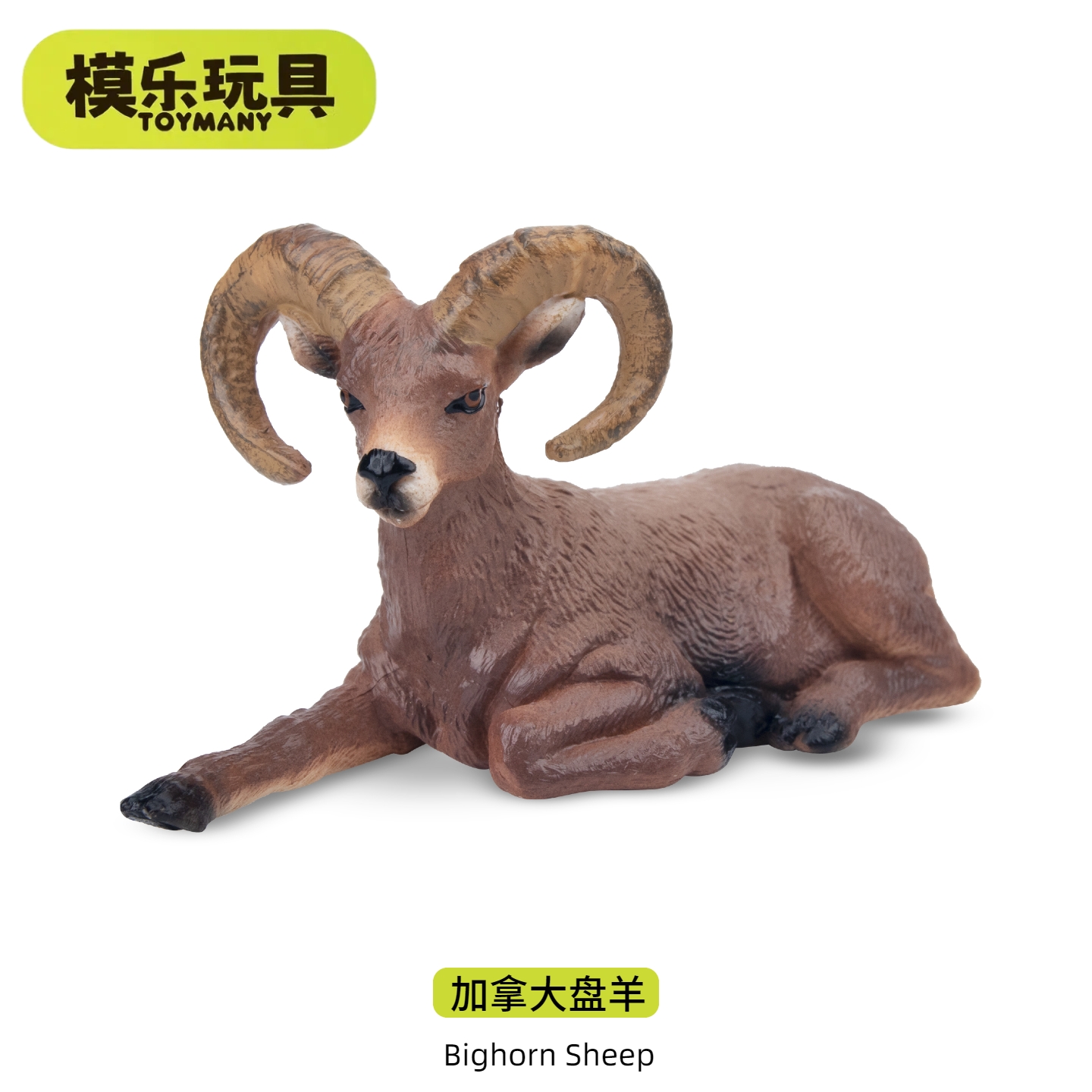 模乐玩具TOYMANY加拿大盘羊迷你北美野生仿真动物模型儿童玩具
