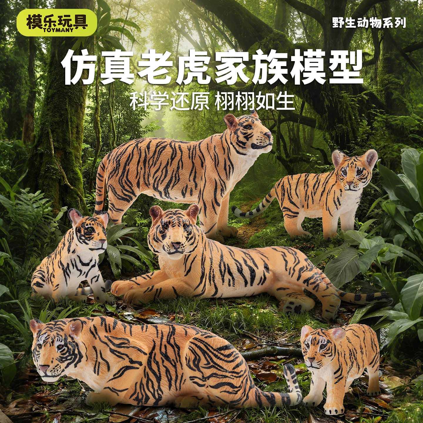 模乐玩具TOYMANY仿真野生动物模型老虎家庭亲子套装儿童玩具玩偶