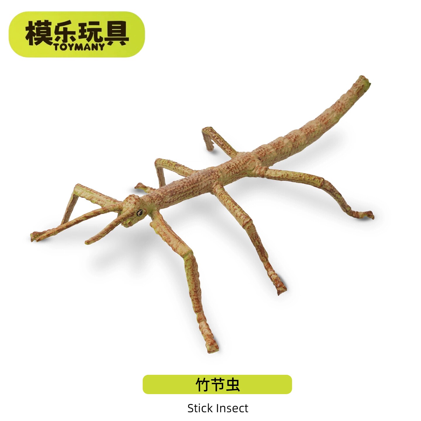 模乐玩具TOYMANY仿真昆虫动物模型早教认知玩具竹节虫摆件玩偶